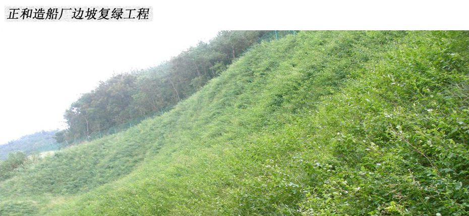 正和造船厂边坡复绿工程