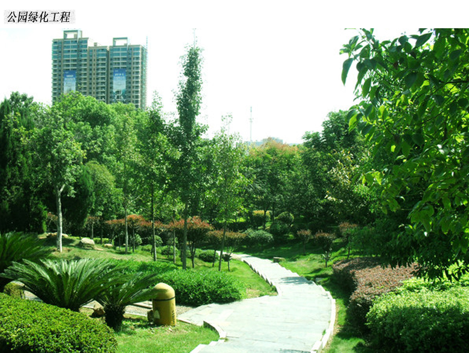 公园绿化工程